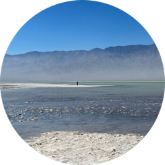 A tiny figure standing on a white salt flat beside turquoise water, beneath a hazy mountain range and clear blue sky.